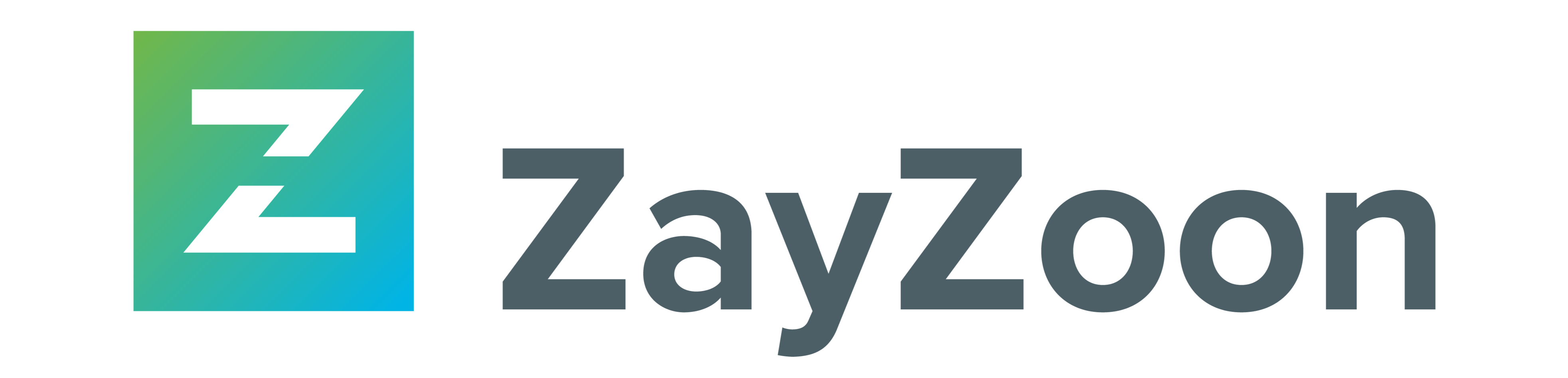 ZayZoon Color Logo-1